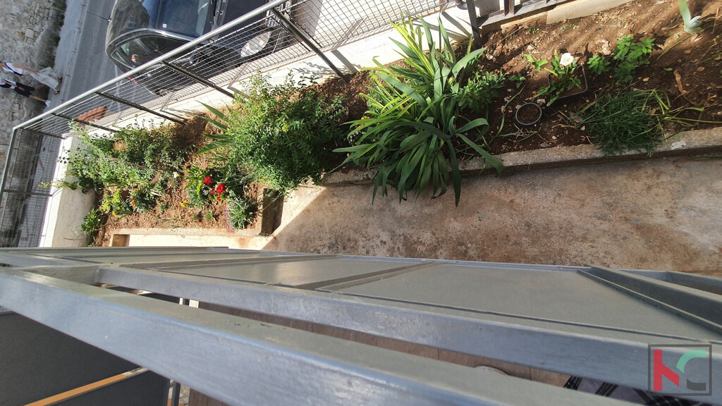 Image 6230347 - 22