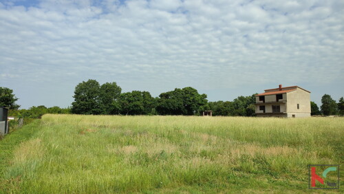 Thumbnail 6230352 - 3