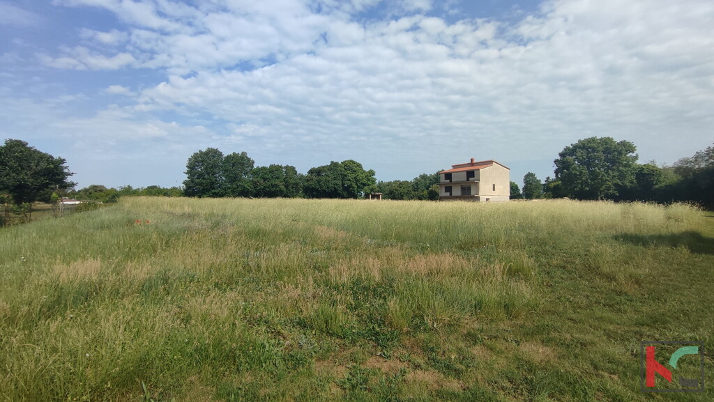 Image 6230353 - 9