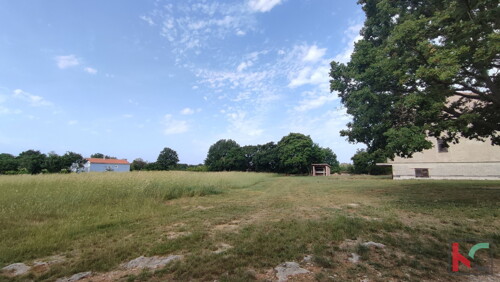 Thumbnail 6230353 - 6
