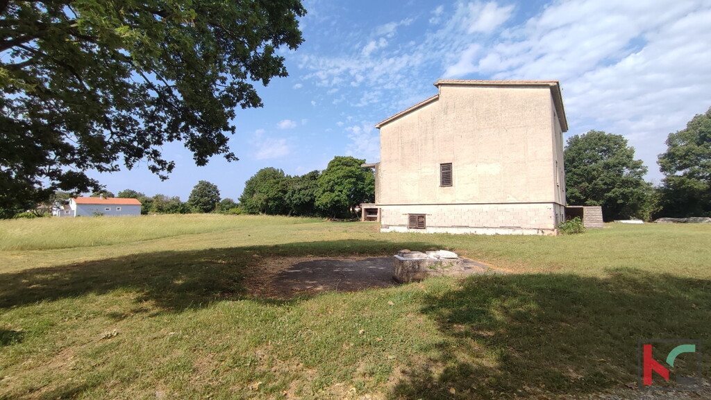 Image 6230353 - 8