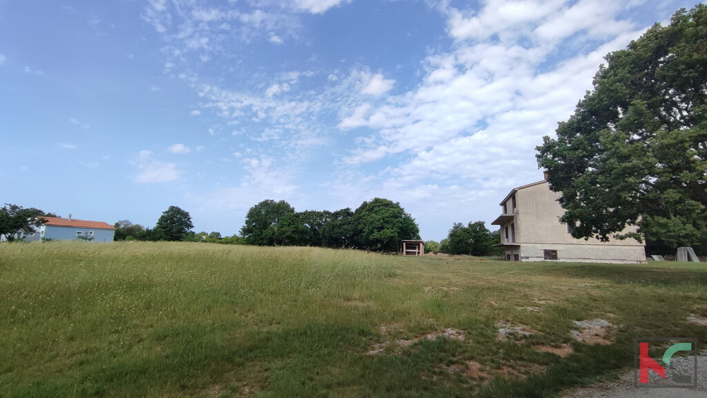 Image 6230353 - 7