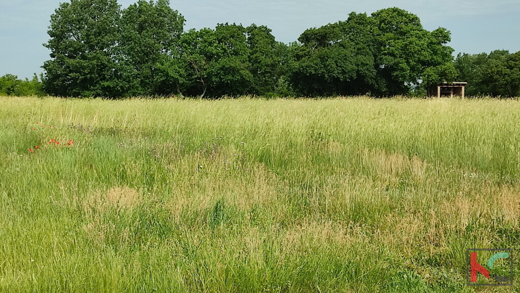 Image 6230353 - 2