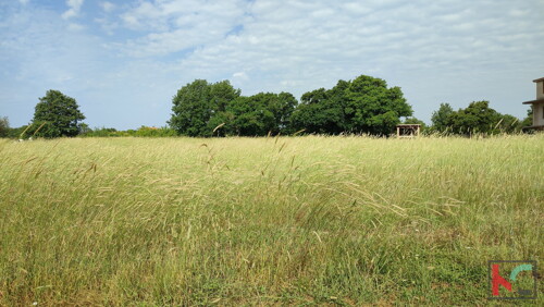 Thumbnail 6230353 - 3