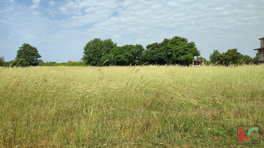 Image 6230353 - 3