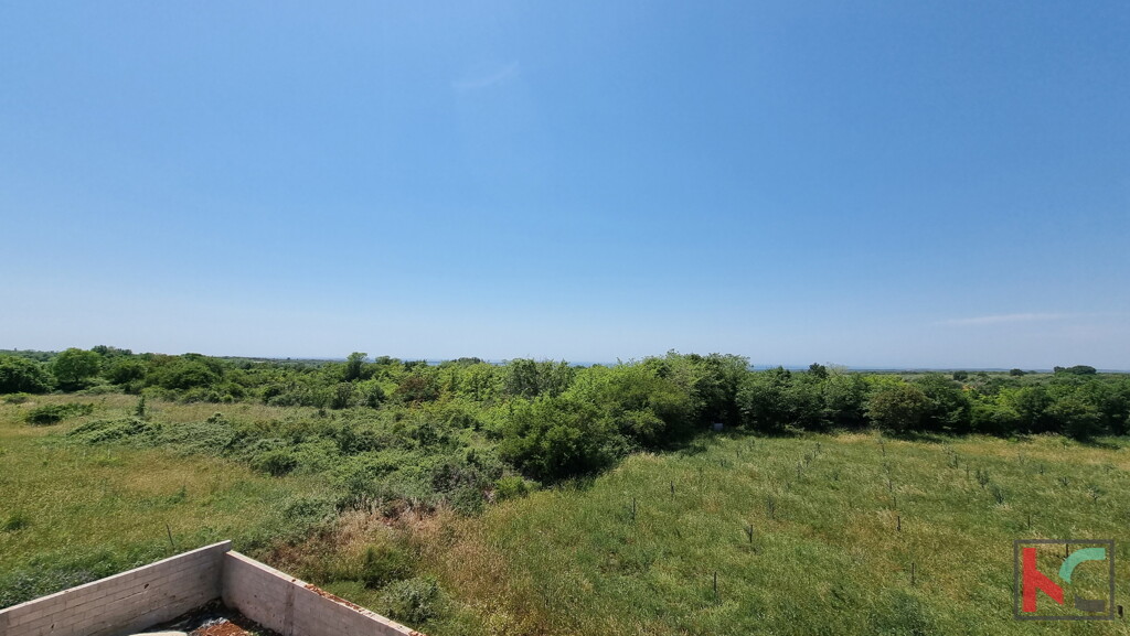 Image 6230355 - 8