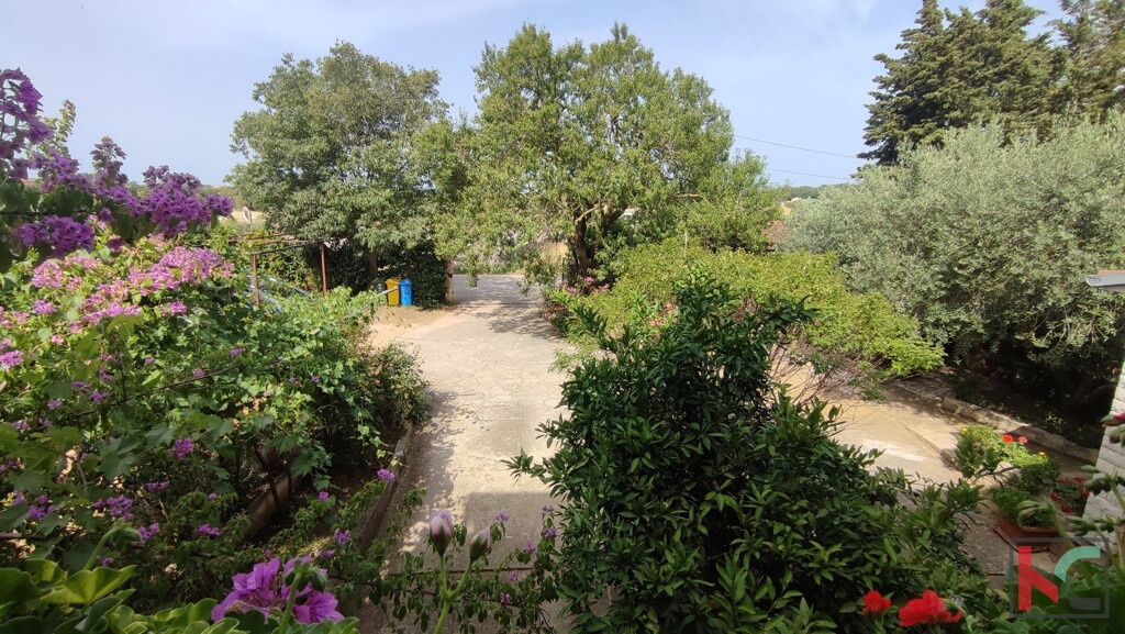 Image 6230356 - 15