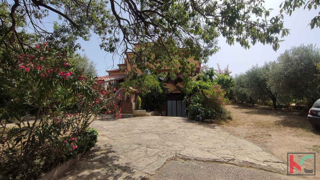 Image 6230356 - 4