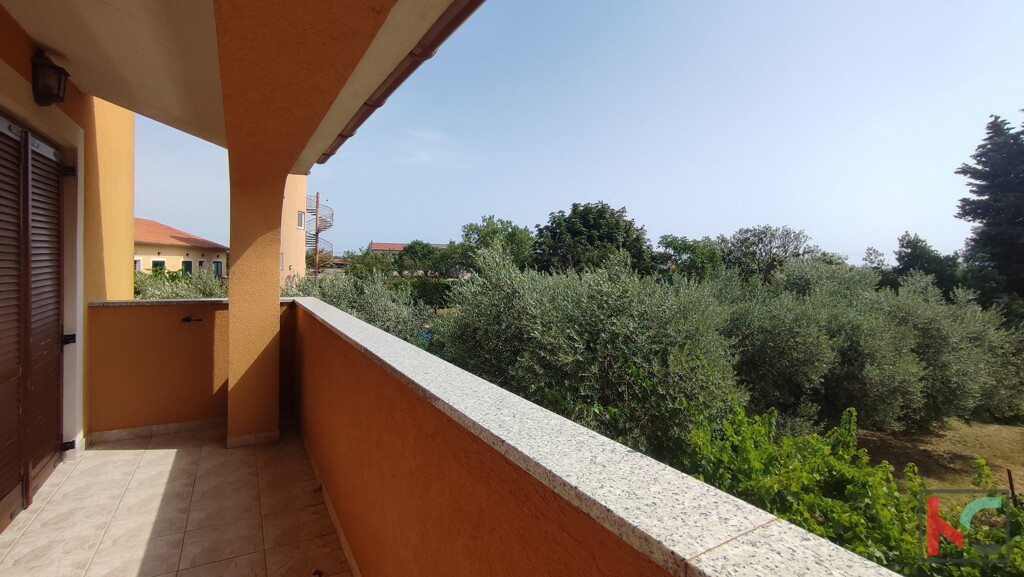 Image 6230356 - 3