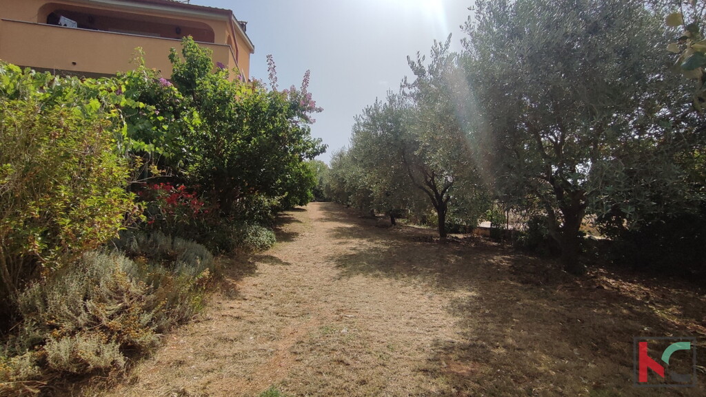 Image 6230356 - 5