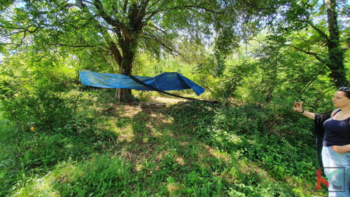 Thumbnail 6230358 - 5