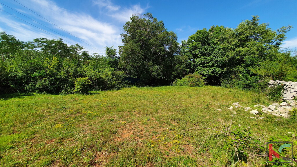 Image 6230358 - 4