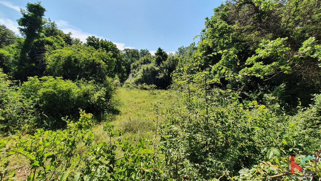 Image 6230358 - 1