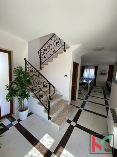 Thumbnail 6230359 - 13