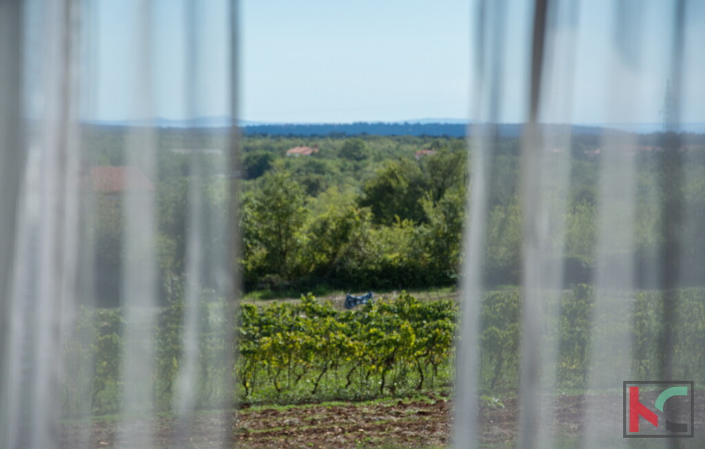 Image 6230362 - 29