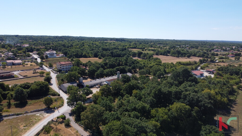 Image 6230364 - 7