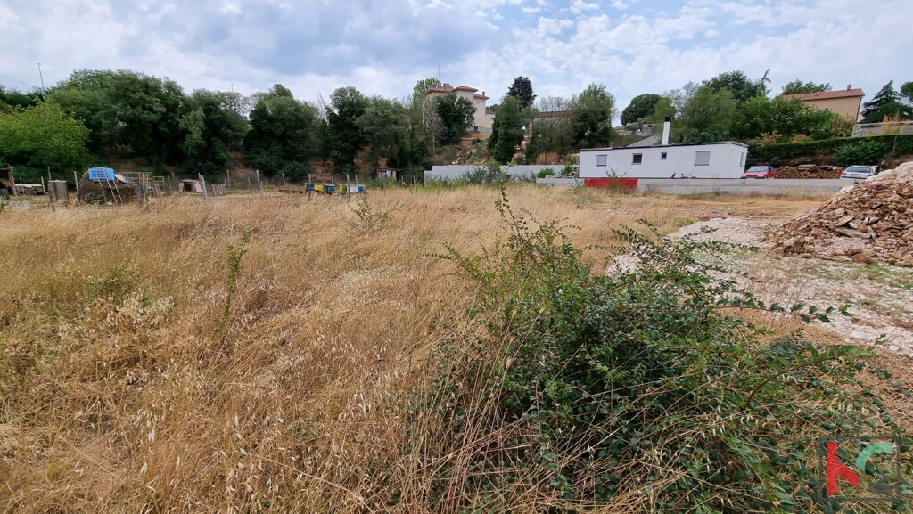 Image 6230371 - 5