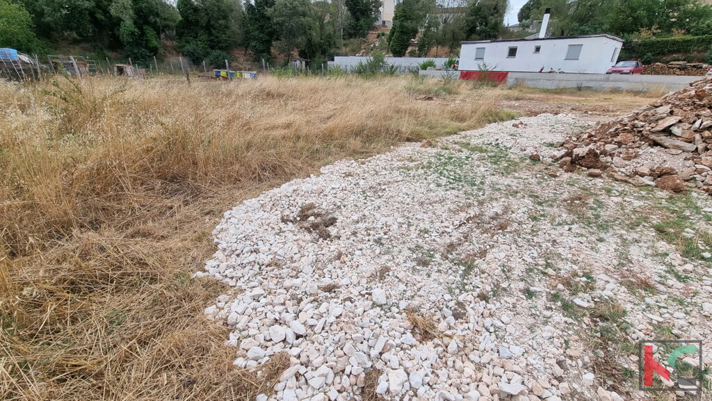Image 6230371 - 6