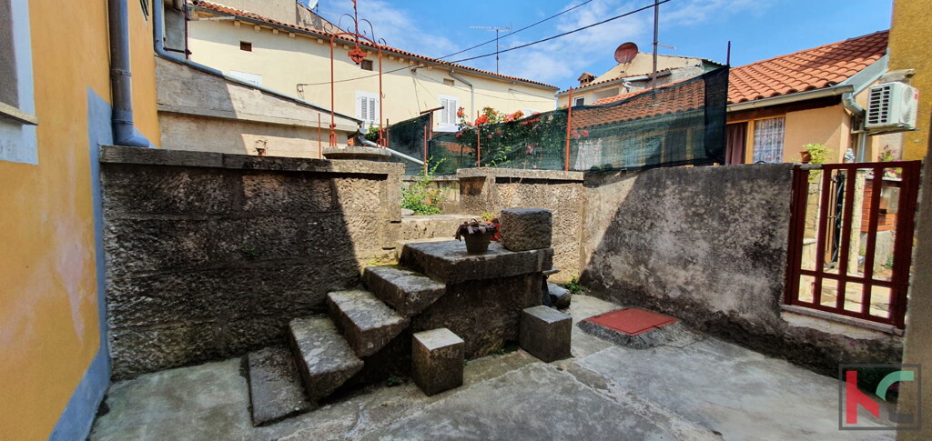 Image 6230372 - 22
