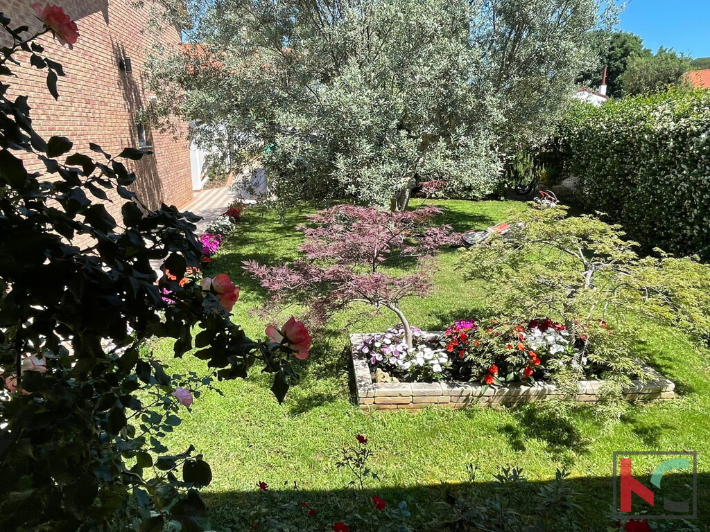 Image 6230376 - 25