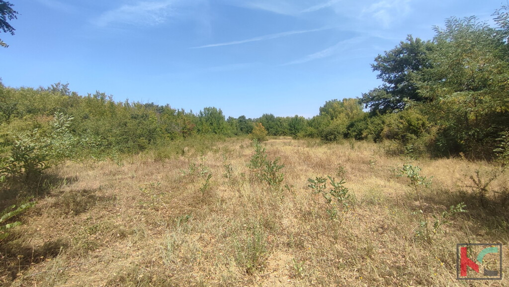 Image 6230377 - 1