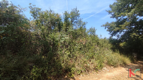 Thumbnail 6230377 - 6