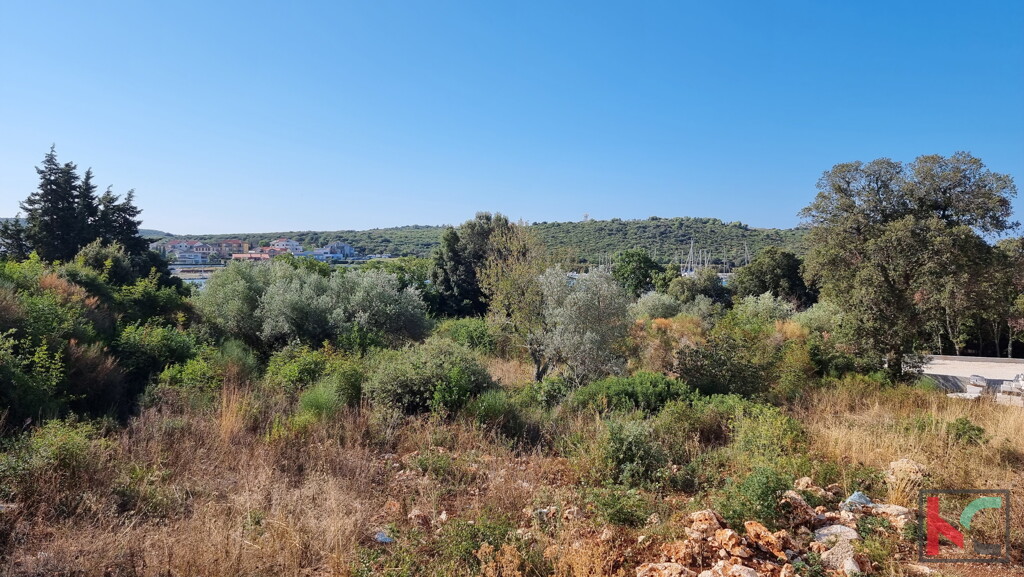 Image 6230378 - 4