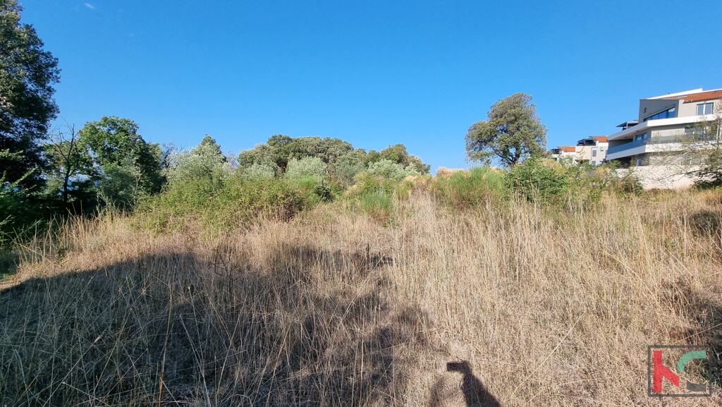 Image 6230378 - 1