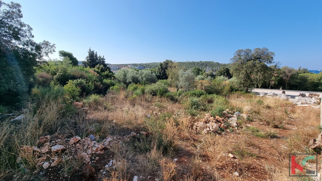 Image 6230378 - 3