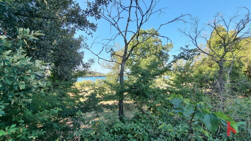 Thumbnail 6230378 - 2