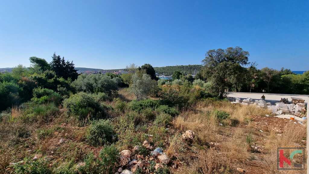 Image 6230378 - 5
