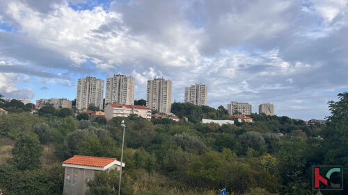 Thumbnail 6230379 - 1