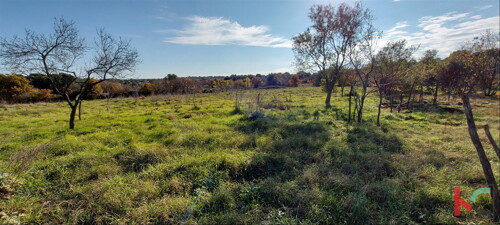 Thumbnail 6230380 - 9