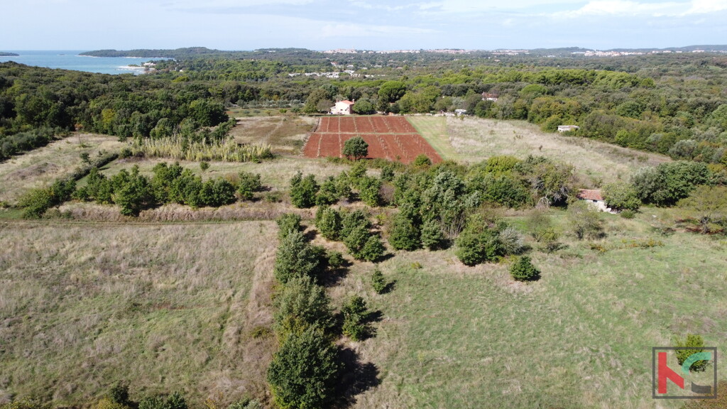 Image 6230380 - 6