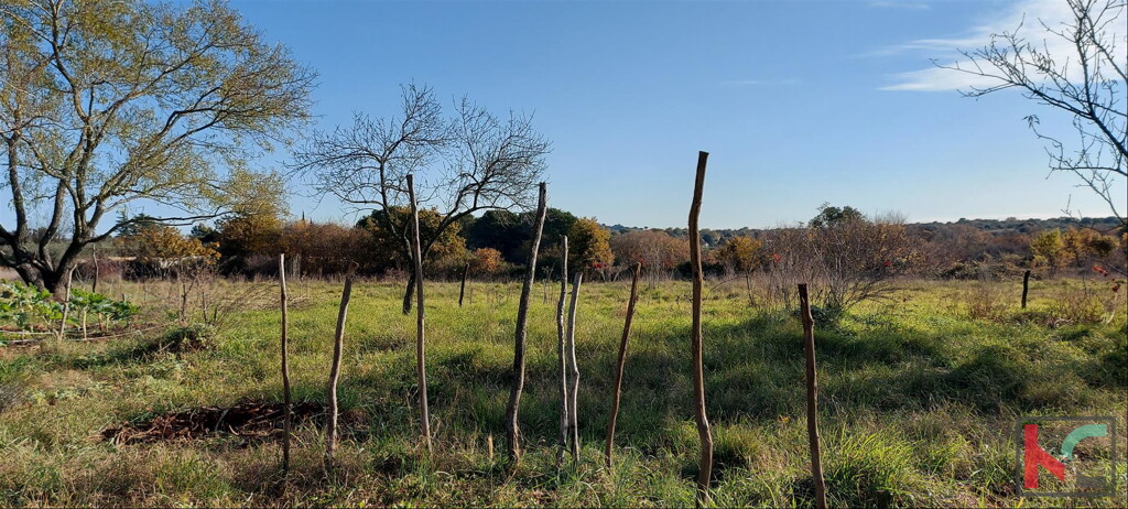 Image 6230380 - 5