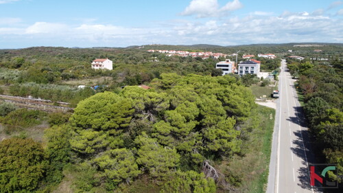 Thumbnail 6230380 - 1