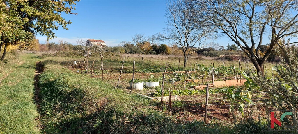 Image 6230380 - 7