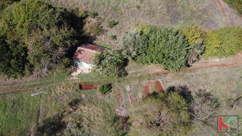 Image 6230380 - 4
