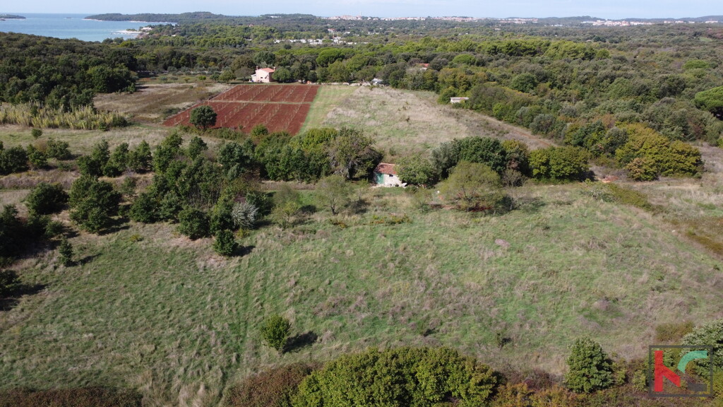 Image 6230380 - 3