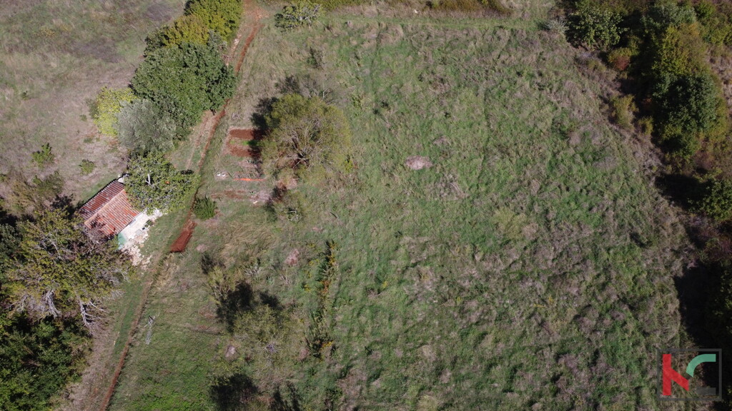Image 6230380 - 11