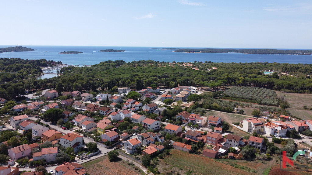 Image 6230381 - 1