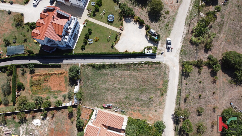 Image 6230381 - 2
