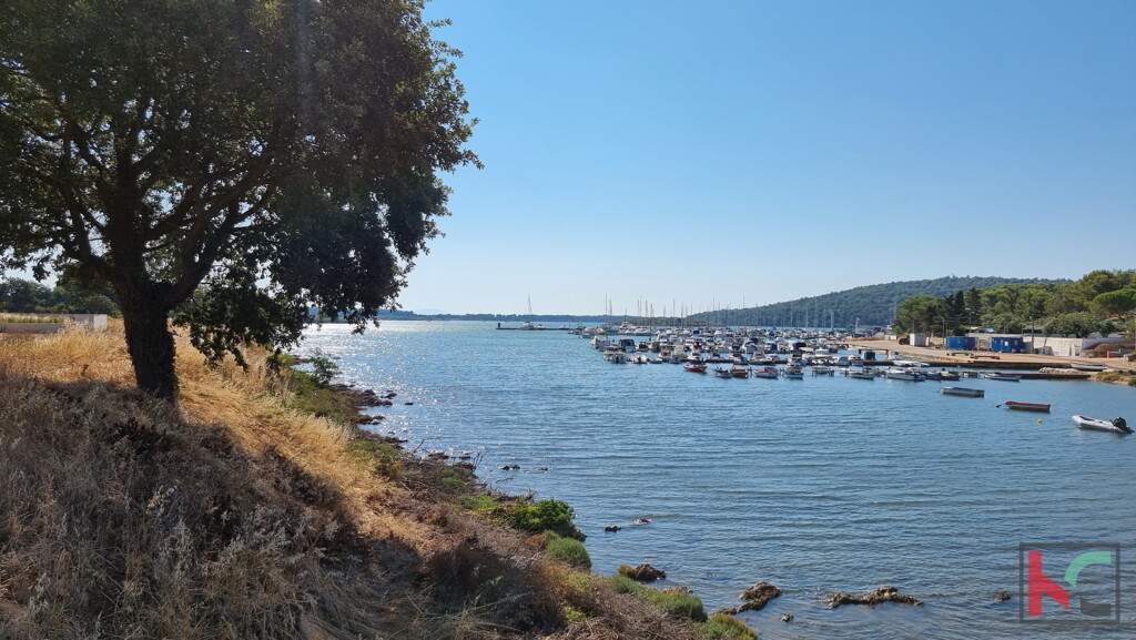 Image 6230383 - 2