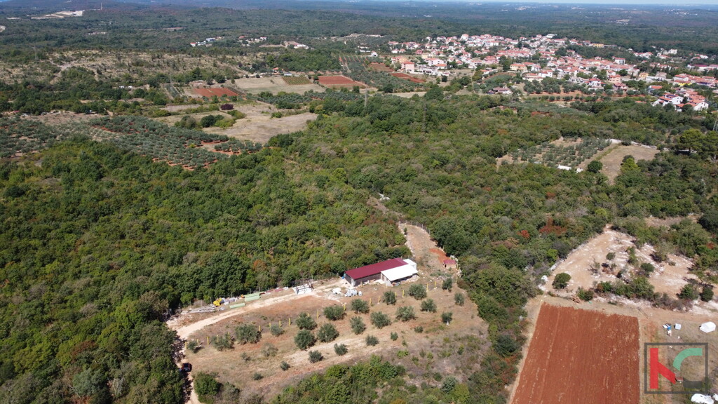 Image 6230386 - 1