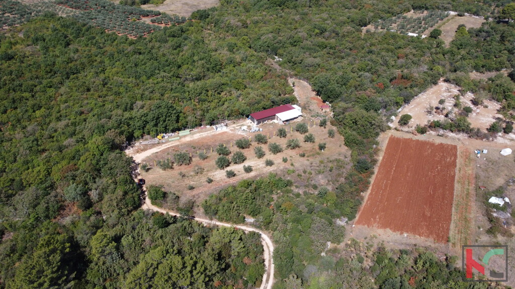 Image 6230386 - 5