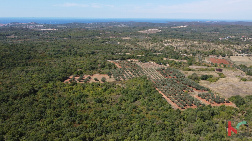 Image 6230386 - 4