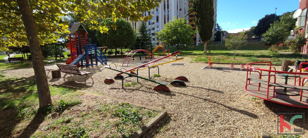 Image 6230391 - 3