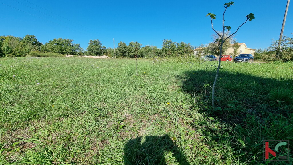 Image 6230392 - 1
