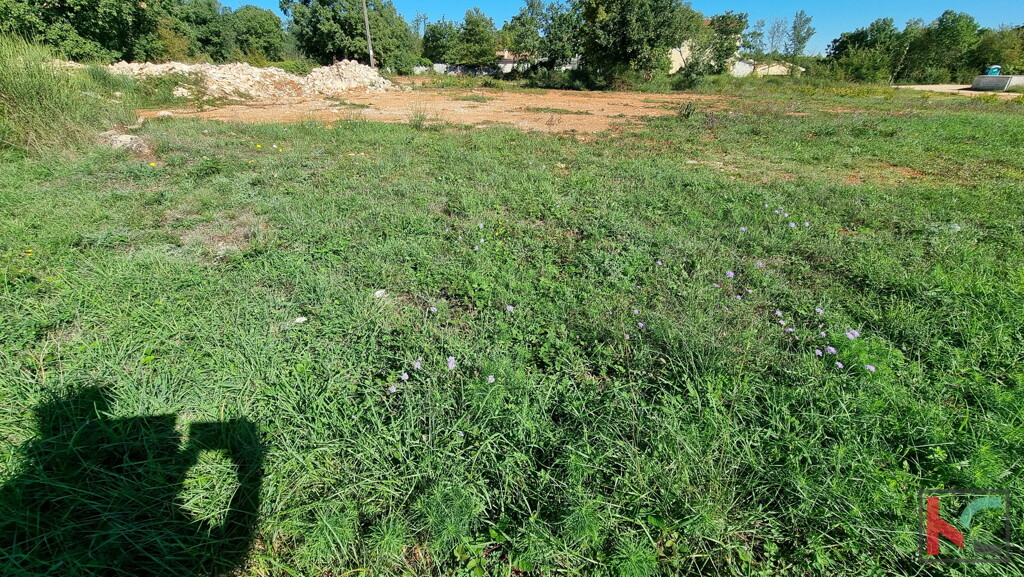 Image 6230392 - 3
