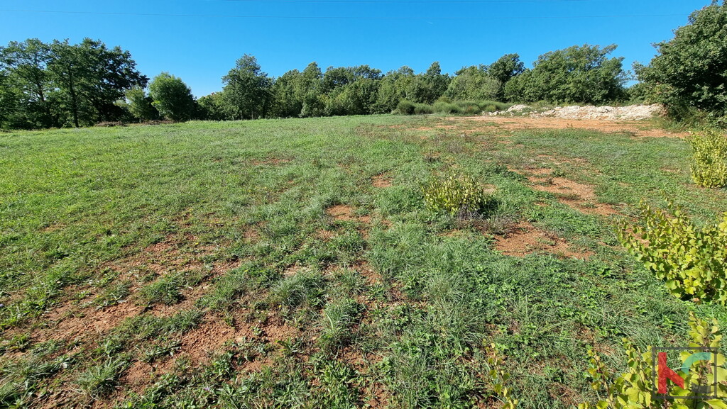 Image 6230392 - 4